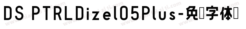 DS PTRLDizel05Plus字体转换